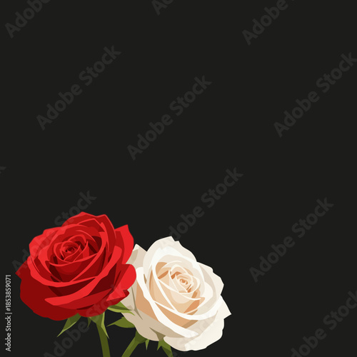Close-up of a red and white rose against a solid black background.
