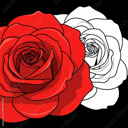 A graphic illustration of a red and white rose on a black background with a bold line art style.