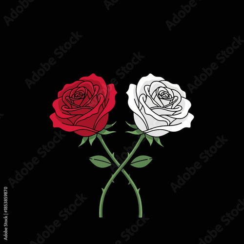 Illustration of a red and white rose with green stems on a black background.