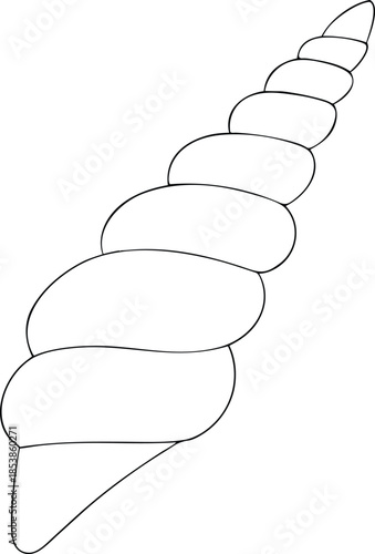 crown conch seashell outline icon