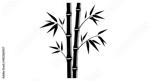 Bamboo stalks with transparent background