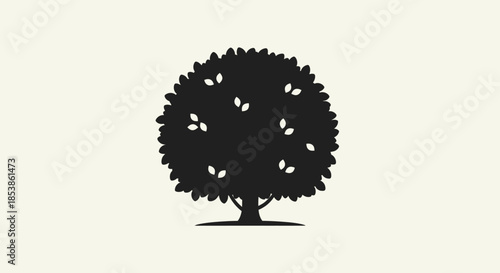 Black tree silhouette with transparent background