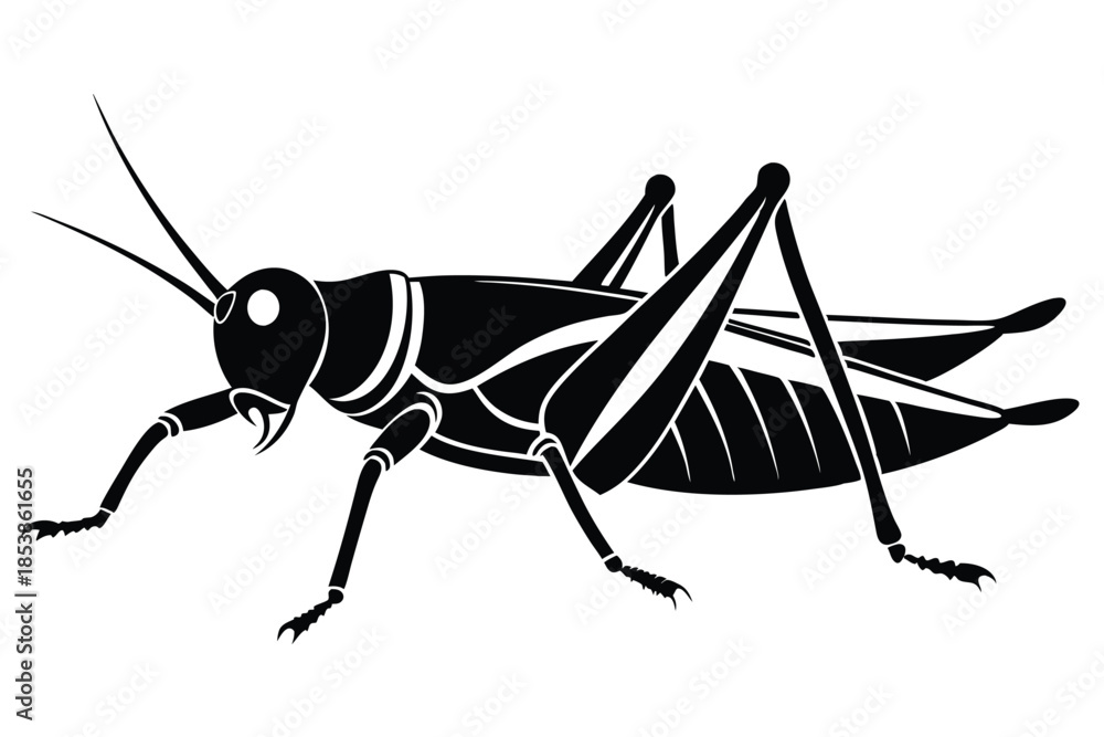 Fototapeta premium grasshopper silhouette line art vector illustration with a white background