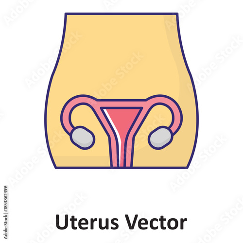 Uterus Vector Icon which can easily modify or edit