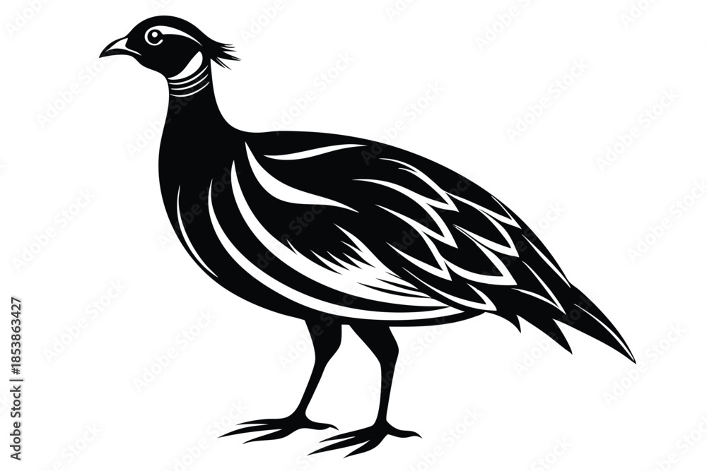Fototapeta premium francolin silhouette line art vector illustration with a white background