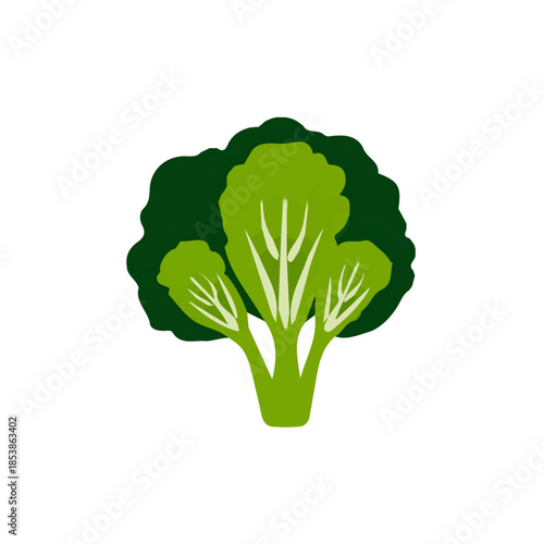 zara_ak_A_Simple_flat_2D_icon_of_a_green_kale_isolated_on_a_whi_5f3d2aeb-9fe3-4311-b312-89ad91686ab9_bottom_right