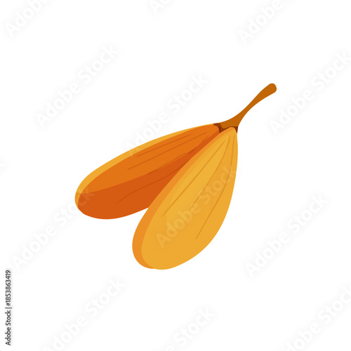 zara_ak_A_Simple_flat_2D_icon_of_a_maple_seed_isolated_on_a_whi_5e7c3256-252d-46b1-91d8-e0e8ac0c488e_bottom_left