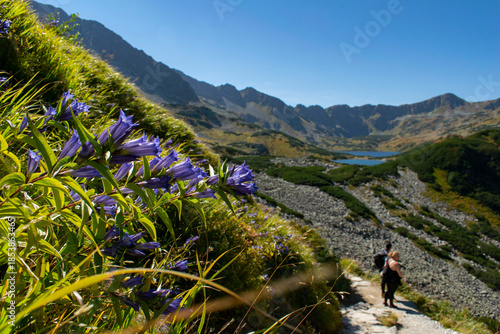 Valley of 5 Ponds in the Polish Tatra Mountains