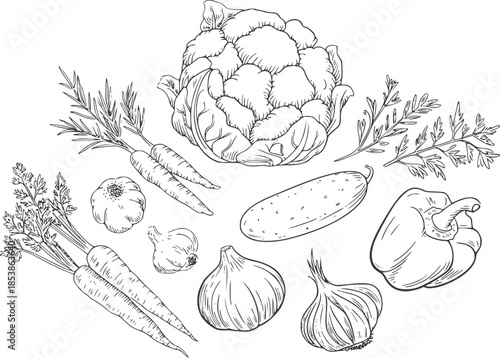 Black and white line of fresh vegetables in outline style