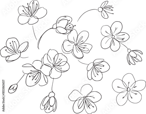 Black and white line of various five petal flowers
