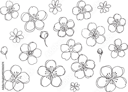 Black and white line of various cherry blossom flowers
