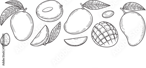 Black and white line of whole and sliced mangoes with leaves