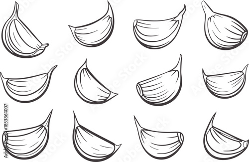 Twelve black and white line of individual garlic cloves in various shapes