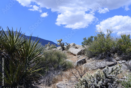 Wolken und blauer Himmel am Cahuilla Téewwenet Vista Point	