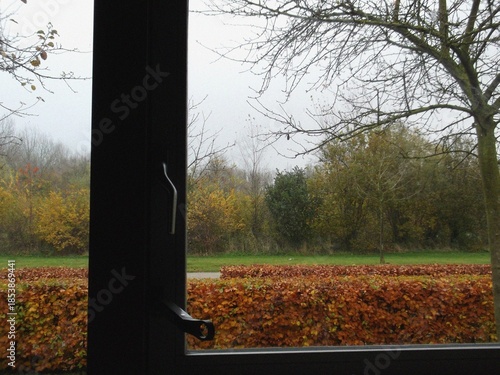 View from the window to the forest. Autumn in the forest. Beautiful natural flyer, card design. Nature Template for presentation or product 