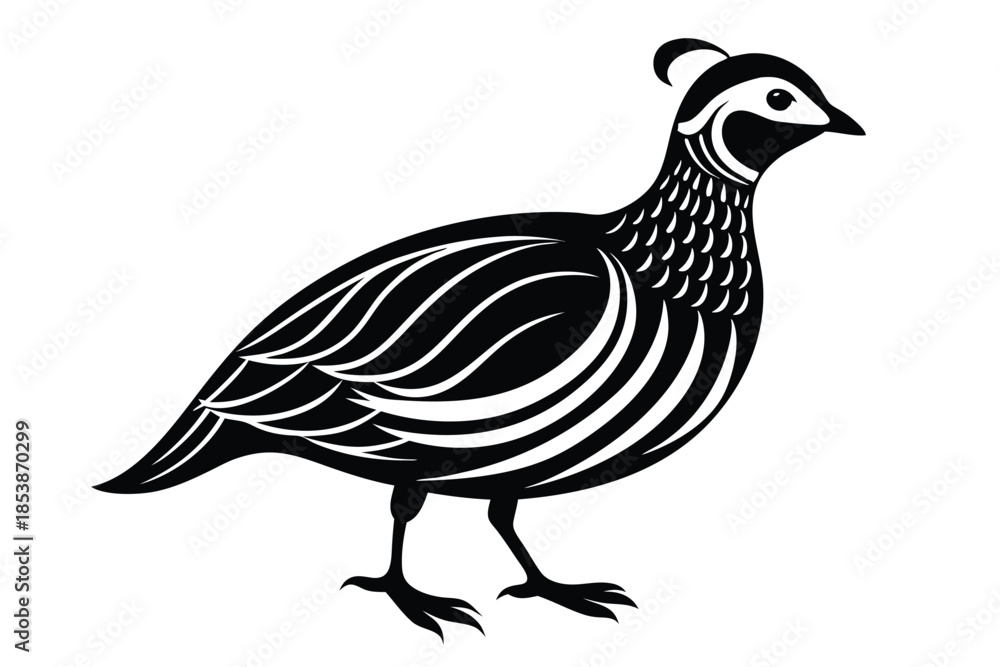 Fototapeta premium chukar silhouette line art vector illustration with a white background