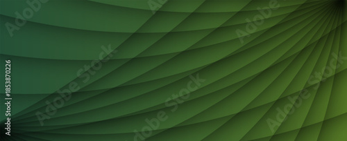 natural tropical green leaf palm leaf texture close up. vector