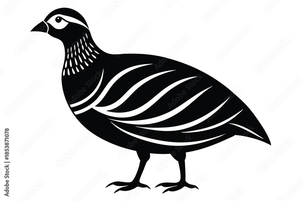 Fototapeta premium chukar silhouette line art vector illustration with a white background