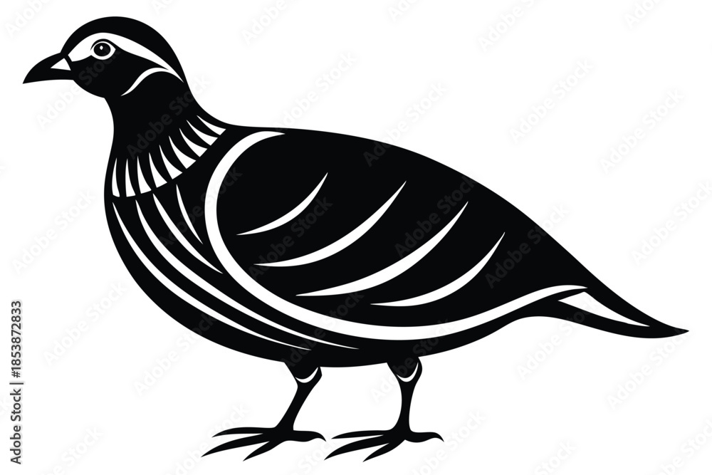 Fototapeta premium chukar silhouette line art vector illustration with a white background