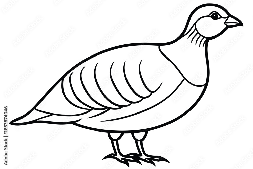 Fototapeta premium chukar silhouette line art vector illustration with a white background