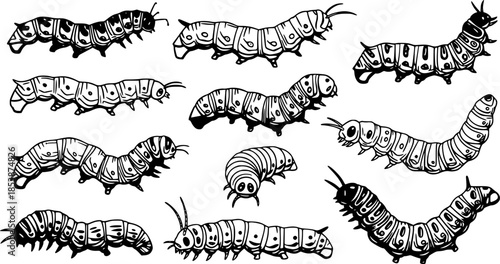 Caterpillar silhouettes collection, worm insect species, crawling larvae, entomology art, vector illustration, nature design, wildlife icon, garden pest, bug pattern, segmented body