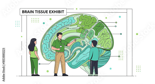 Educational brain exhibit illustration with lecturer and visitors observing human anatomy chart