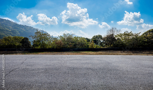 Wallpaper Mural Empty asphalt road ground and green trees with mountain landscape under blue sky Torontodigital.ca