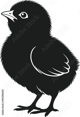 Black chick silhouette vector with detailed feathers and beak bird