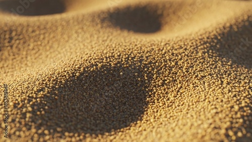 Wallpaper Mural Textured, granular sand dunes under warm, soft sunlight, highlighting the subtle curves and shadows Torontodigital.ca