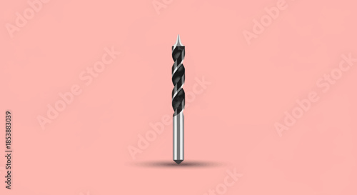 Single drill bit with a point for woodworking.