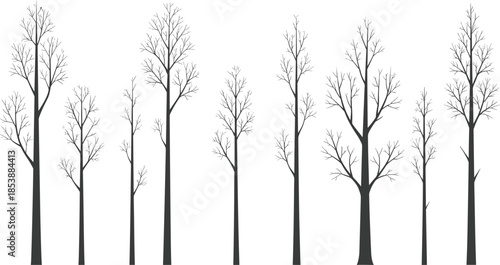 Black silhouette vector set of stylized leafless trees with varied heights and branch structures for seasonal or nature-themed design.