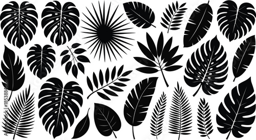 A diverse arrangement of black tropical plant leaf silhouettes on a clean white background