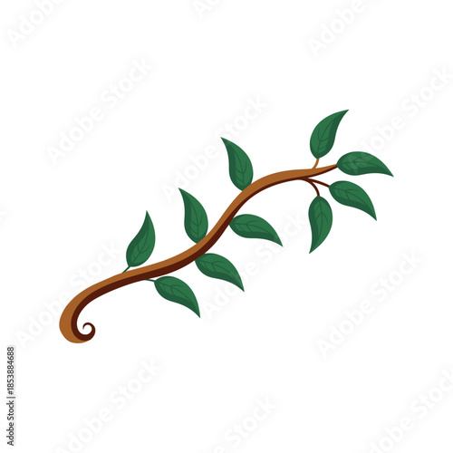 elegant branches with leaves, vector, design, branding
