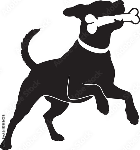 Close up portrait of cute dog  labrador retriever dog breed black