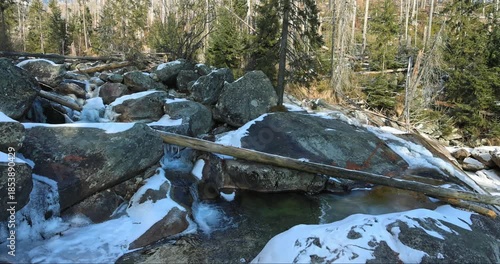 Wallpaper Mural A crystalline stream meanders through a forest, its banks adorned with snow-dusted rocks and the serene whispers of nature's winter sonata. High Tatras National Park, Slovakia, Europe. Torontodigital.ca