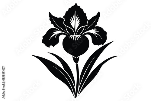 iris silhouette line art vector illustration with a white background