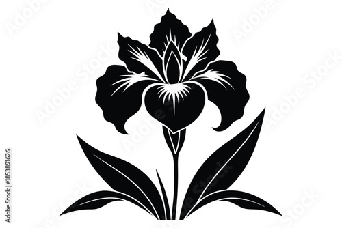 iris silhouette line art vector illustration with a white background