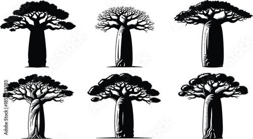 Black silhouette set of African baobab trees with thick trunks and unique branches, isolated on white background for nature design.
