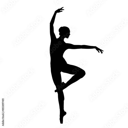 Silhouette of a graceful ballerina in a poised dance position.