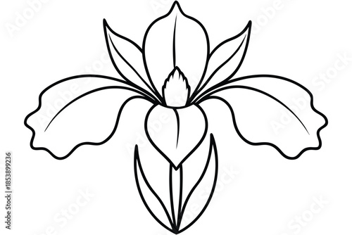 Schilderij op canvas iris silhouette line art vector illustration with a white background
