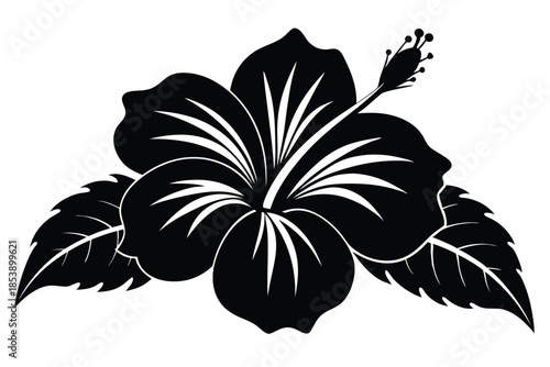 hibiscus silhouette line art vector illustration with a white background