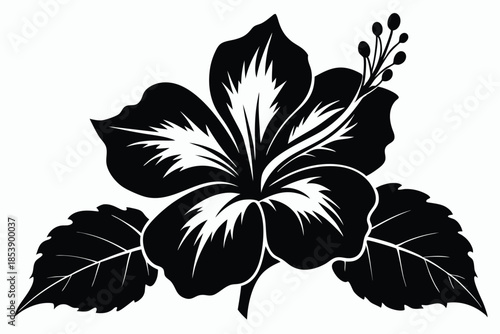 hibiscus silhouette line art vector illustration with a white background