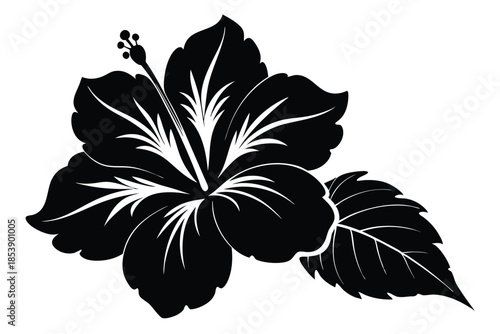 hibiscus silhouette line art vector illustration with a white background