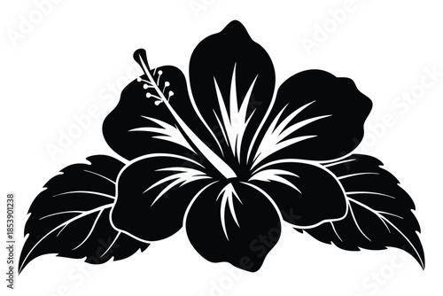 hibiscus silhouette line art vector illustration with a white background