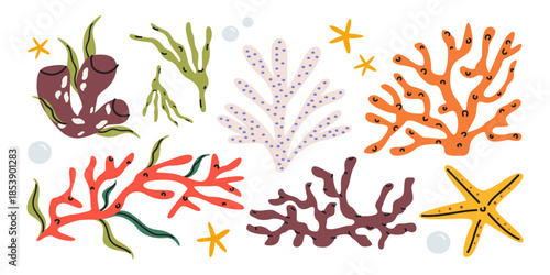 Exotic underwater flora and fauna cartoon elements in doodle style. Various sea ​corals, seaweed, starfish. Bright groovy ocean life vector illustrations