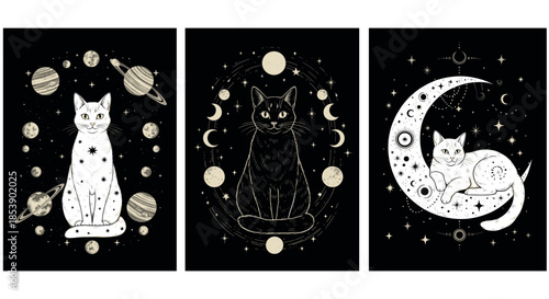 Set of three mystical black and white postcard illustrations featuring celestial cats with planets, moon phases, and stars in a vintage occult style.