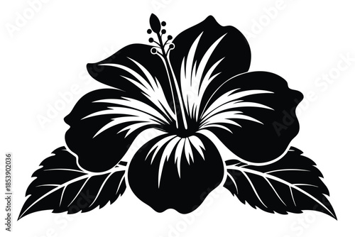 hibiscus silhouette line art vector illustration with a white background
