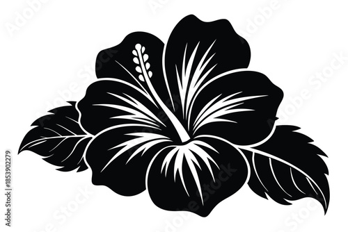 hibiscus silhouette line art vector illustration with a white background
