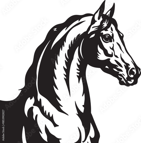 Horse portrait vector illustration,