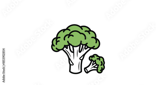 Simple illustration of a fresh green broccoli head with a smaller floret piece set against a clean white background.